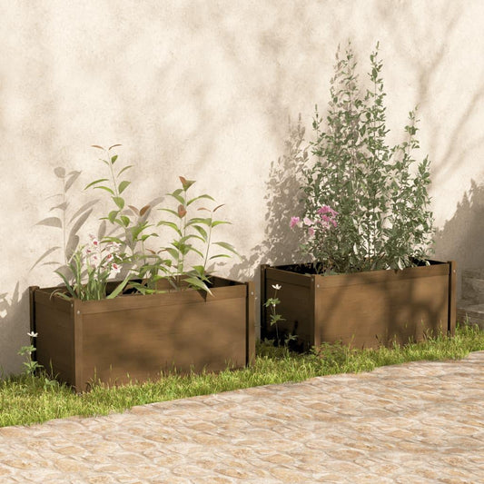 dārza puķu kastes, 2 gab., medus brūnas, 100x50x50 cm, priede - amshop.lv