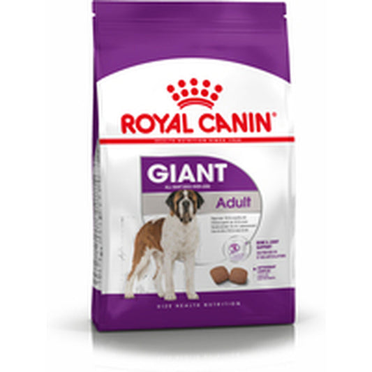 Lopbarība Royal Canin Giant Adult 15 kg Pieaugušais