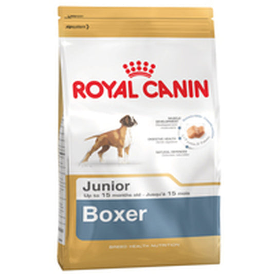 Lopbarība Royal Canin Boxer Junior 12 kg Bērns/Juniors Putni