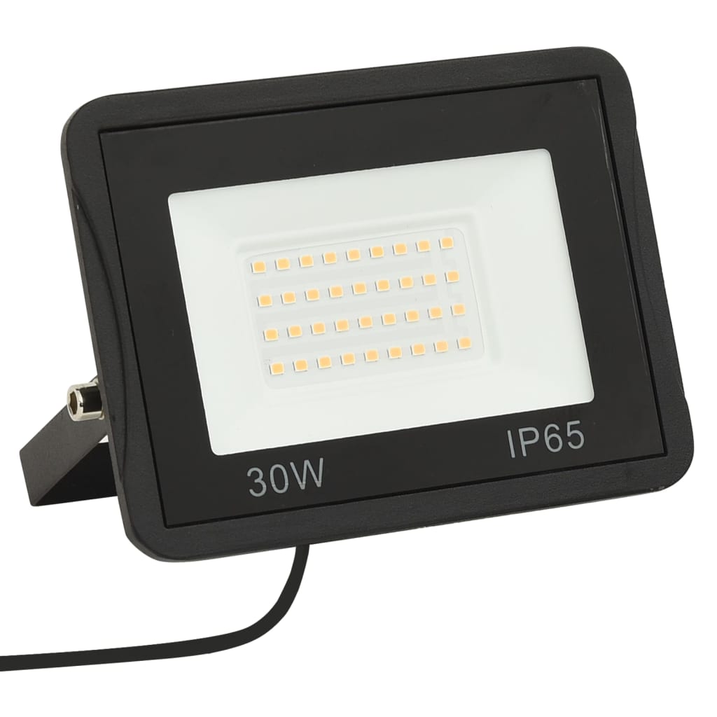 LED prožektors, 30 W, vēsi balta gaisma