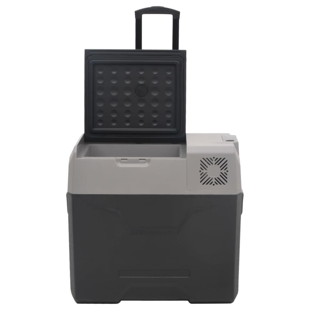 cooler box with handle and wheels, black, gray, 30 L